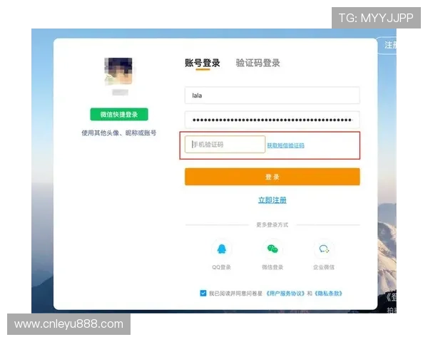 乐鱼登录入口官网网址安全登录技巧，保障用户账号信息安全与登录顺利进行