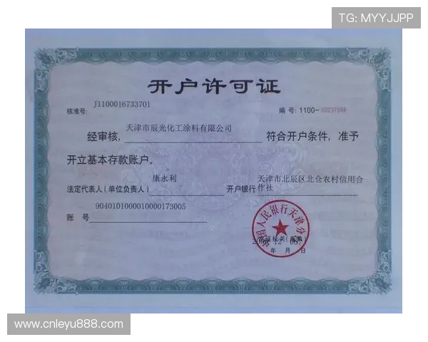 乐鱼账户常见问题及解决方案提升使用过程中的便捷性